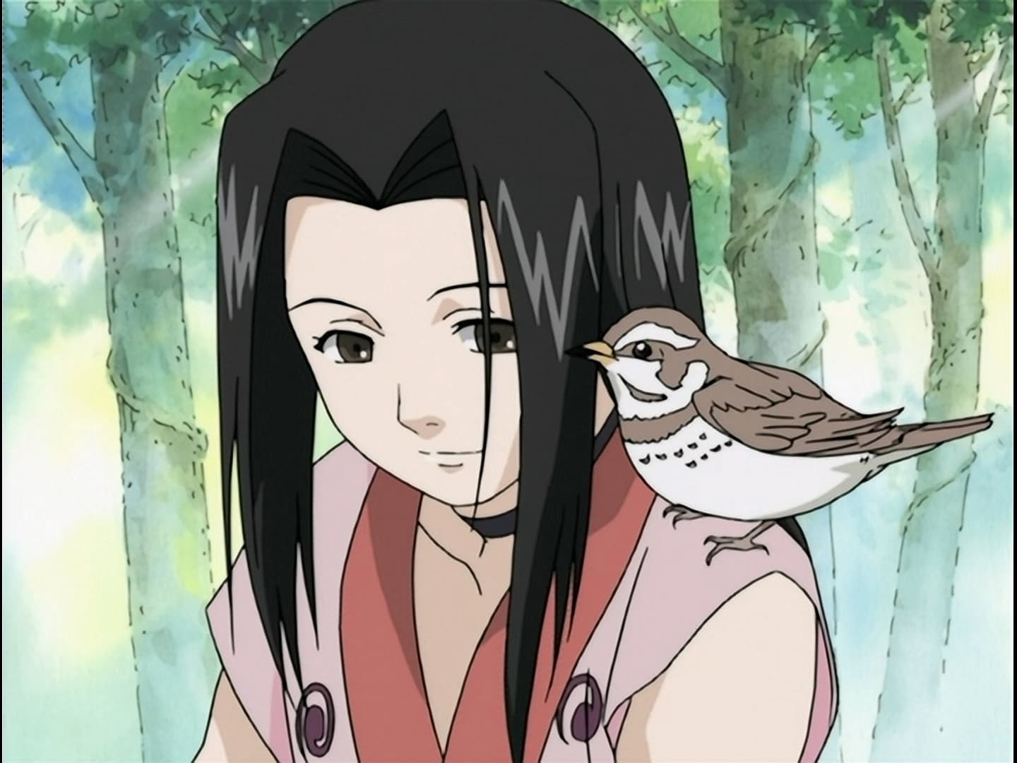 Batalla en el puente: Vuelve Zabuza