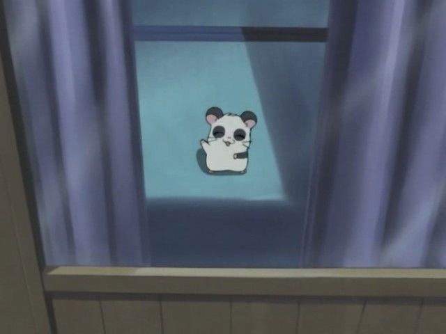 Celebración de media noche