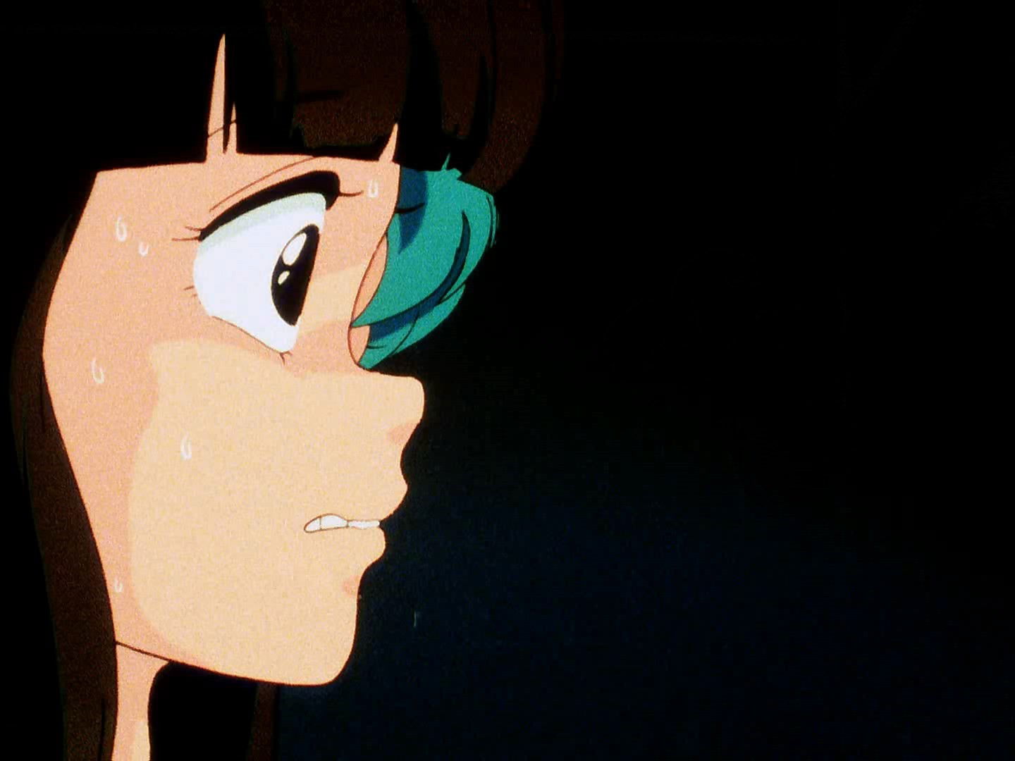 La fiesta de fin de año