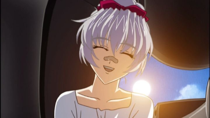 Un gato y el Rock & Roll de un gatito