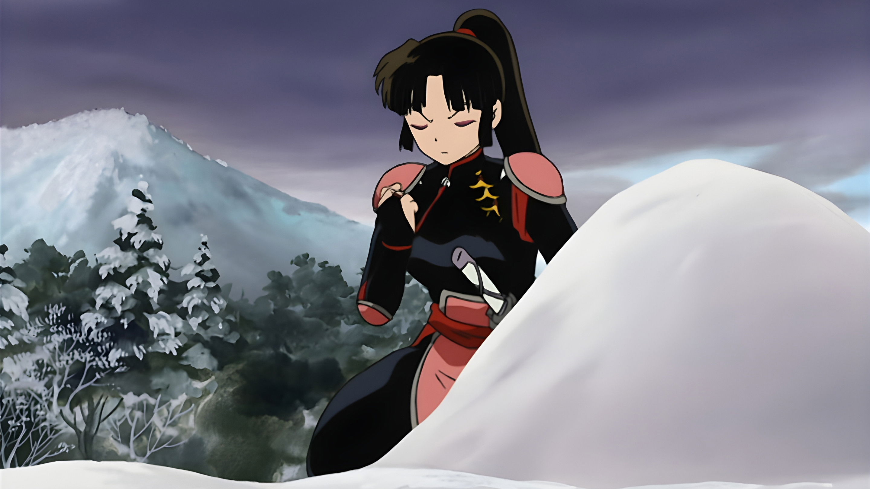 Siete años después. Las últimas nieves