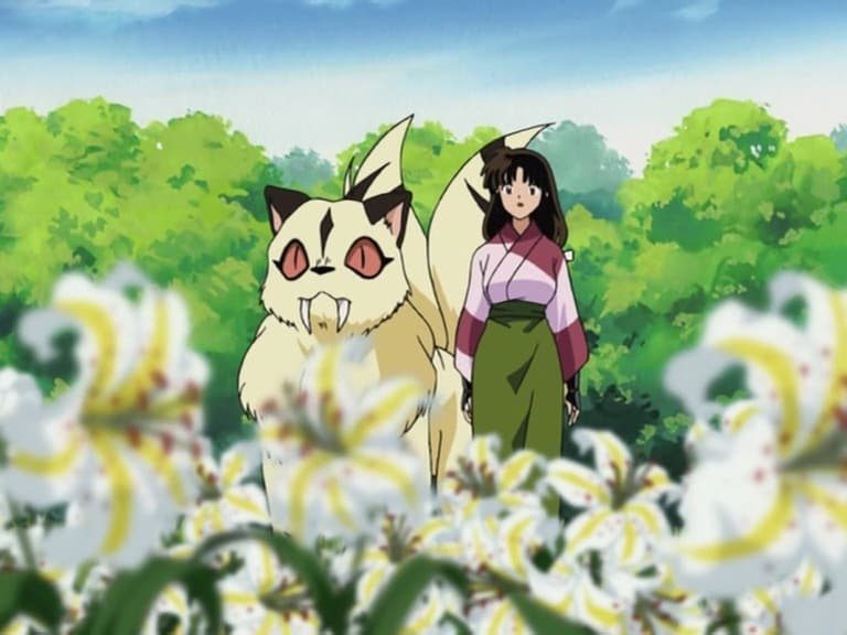 Kohaku, Sango y Kirara y el jardín de flores secreto