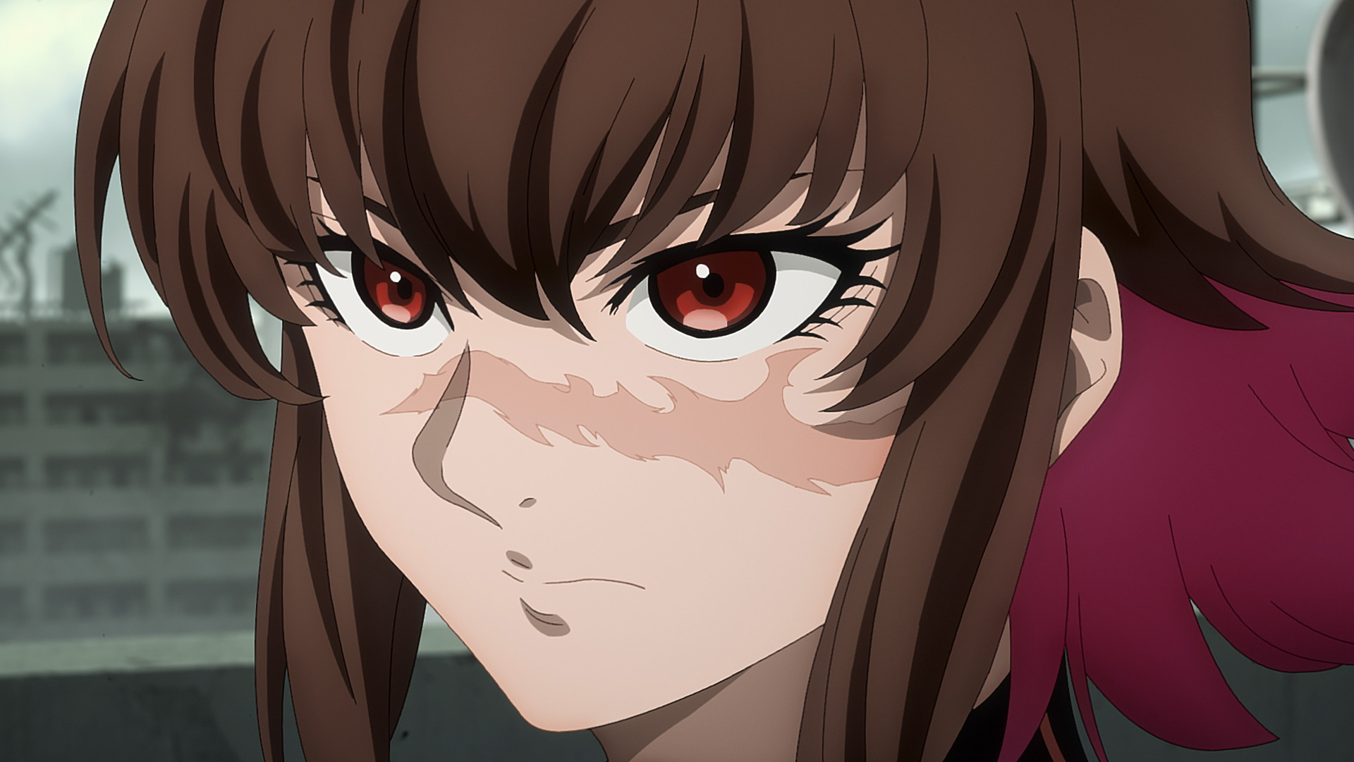 El león caza al conejo con todas sus fuerzas, el cangrejo atrapa al fénix con un cortapizza